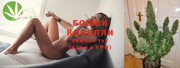герыч Ельня